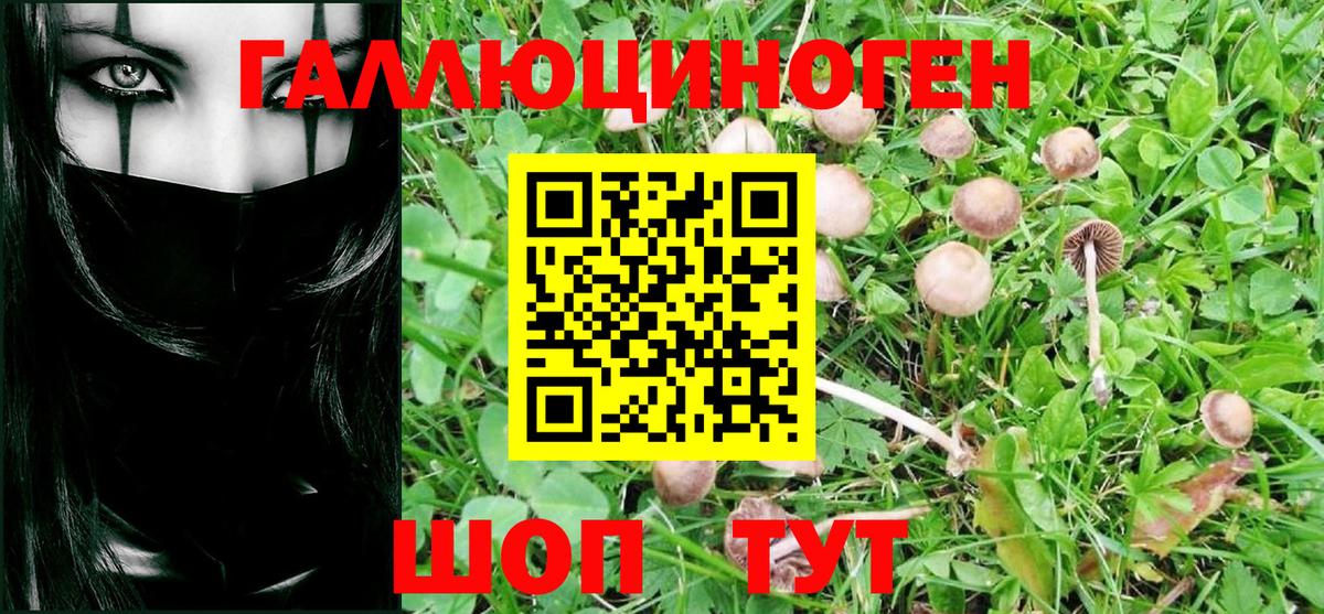 Галлюциногенные грибы мухоморы Ревда