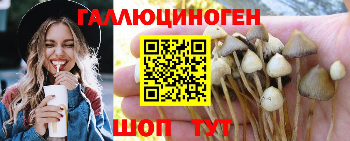 Ревда  Галлюциногенные грибы ЛСД  Псилоцибиновые грибы мухоморы  Вход с VPN 